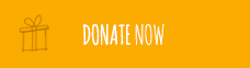 Donate Now