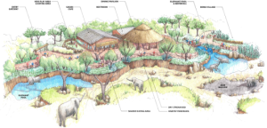 Safari-Cafe-Panorama-Illustrative-Sketch1-e1278600525552
